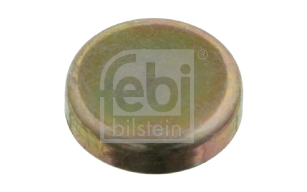 Frost Plug
